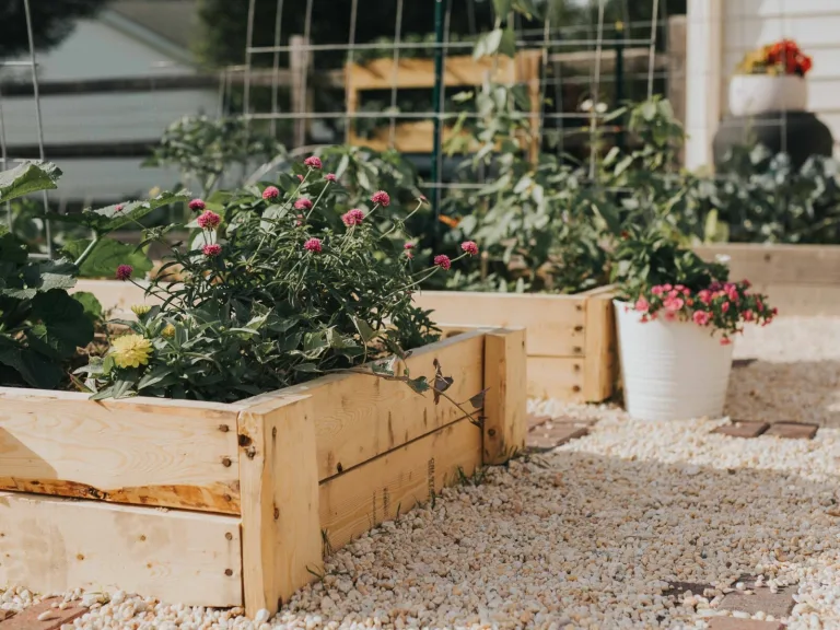 Close up of wooden planter box full of flowers | Featured image of the Uses for Composite Decking Offcuts blog from COEN Composite Wood.